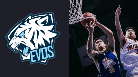 EVOS Esports logo with IBL photo