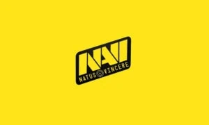 NAVI logo