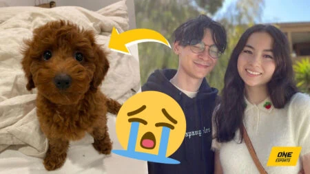TenZ and Kyedae pet poodle mochi