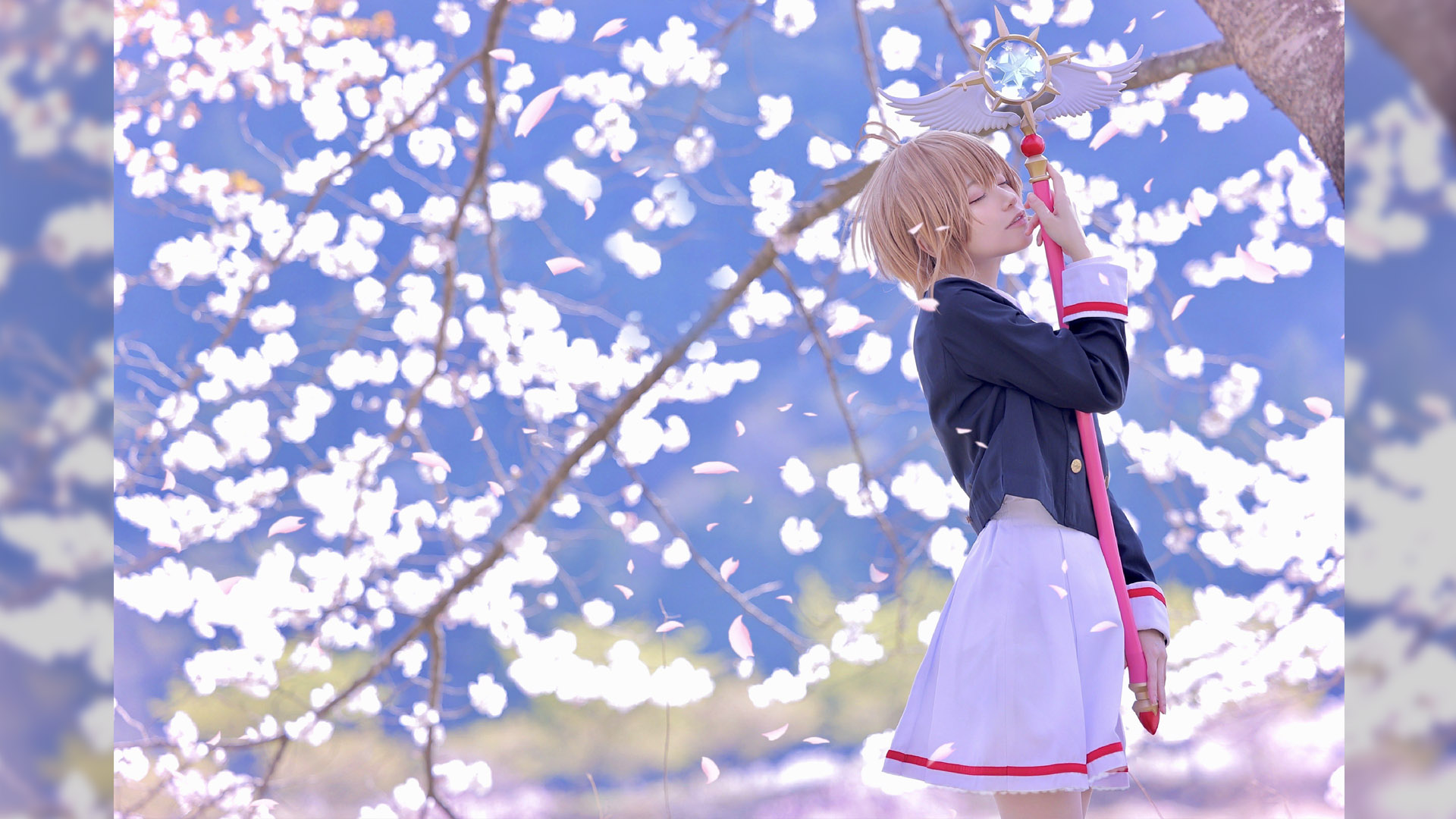 Sakura  Sakura, Sakura cosplay, Anime