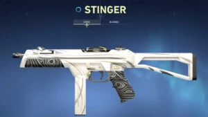 Valorant Stinger buff