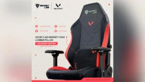 Valorant  Secretlab US