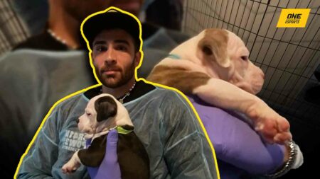 Hasan poses with puppy during visits to shelters where he covered adoption fees