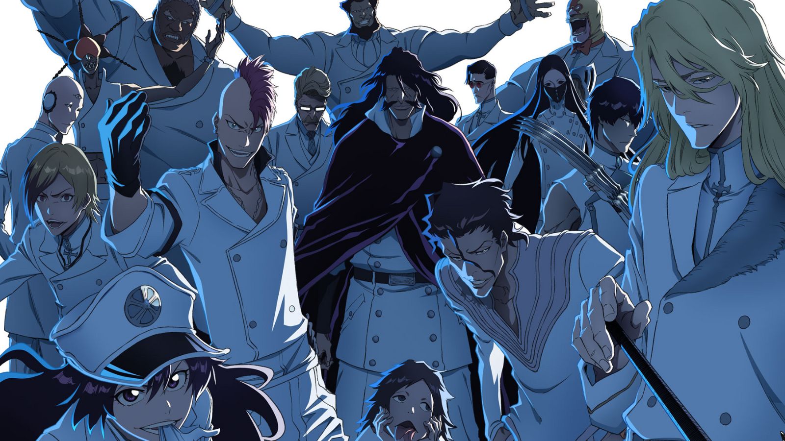 Anime Bleach bleach characters HD phone wallpaper  Pxfuel