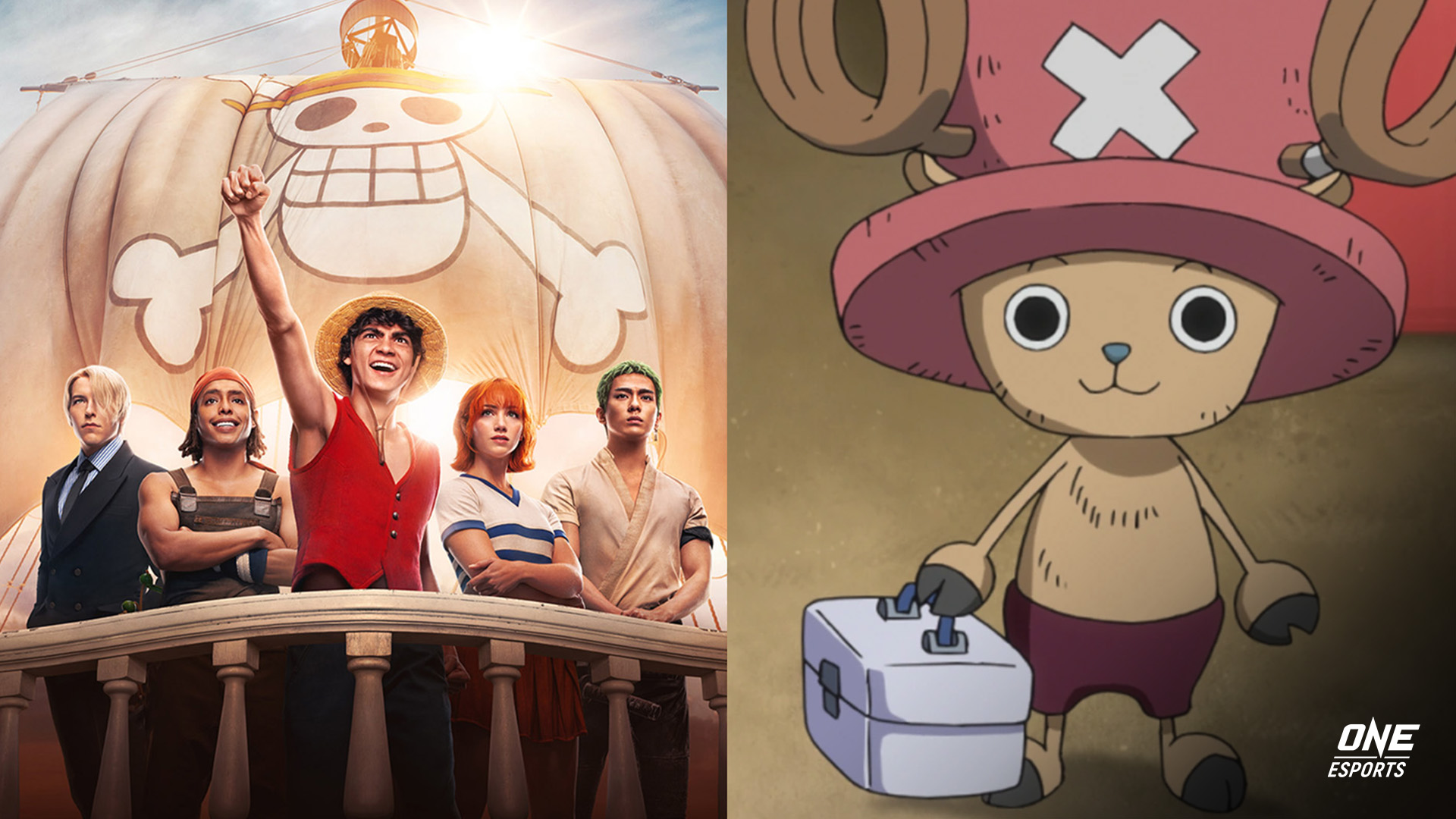 Who Is Chopper from 'One Piece' - Who is the Doctor Coming to Season 2?