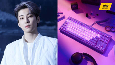 Wonwoo keyboard by the Seventeen K-pop idol