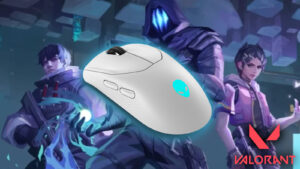 Valorant raw input buffer alienware mouse
