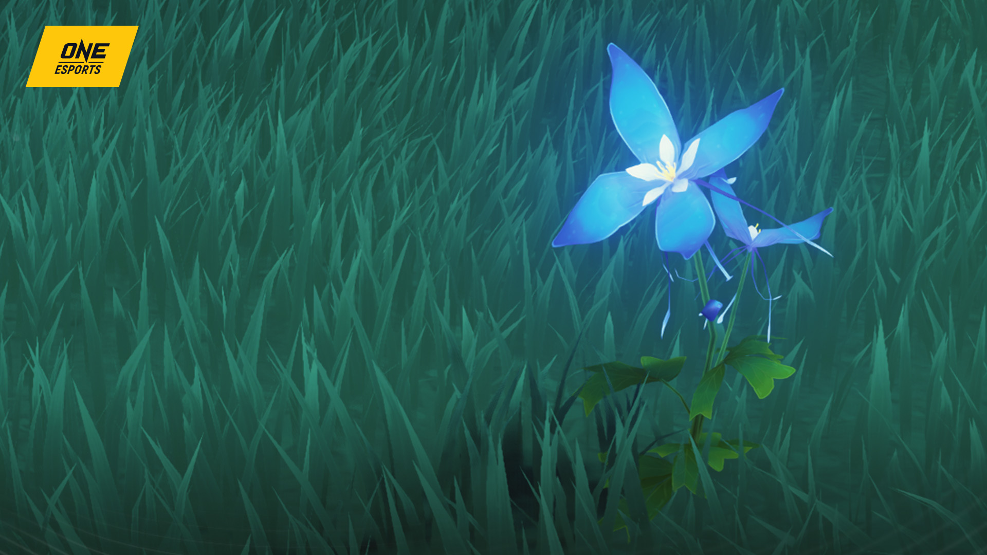 Wuthering Waves Iris location: Where to farm this flower | ONE Esports