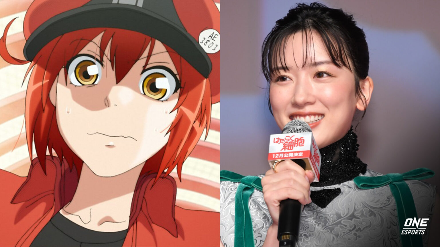 Cells at Work live action cast All actors and roles ONE Esports