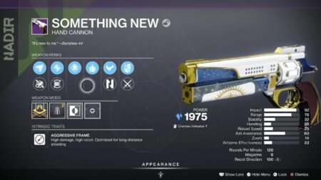 Something New god roll in Destiny 2