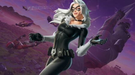 Black cat in Fortnite