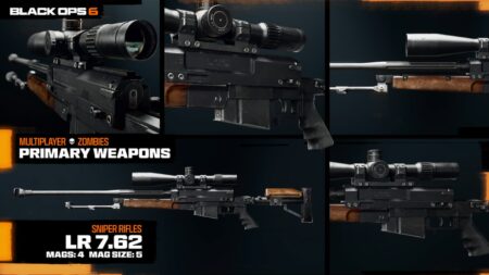 LR 762 in Black Ops 6 details