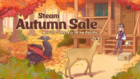 Steam Autumn Sale 2024 key image