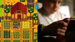 Stardew Valley esports
