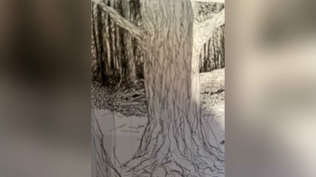 Tree stump illustration in new Hunter x Hunter manga chapters