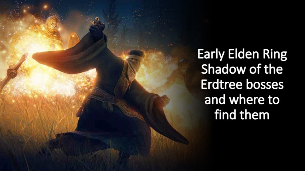 All bosses in Shadow of the Erdtree -- Sorcerer in Elden Ring Shadow of the Erdtree casting a fire spell on enemies official screenshot