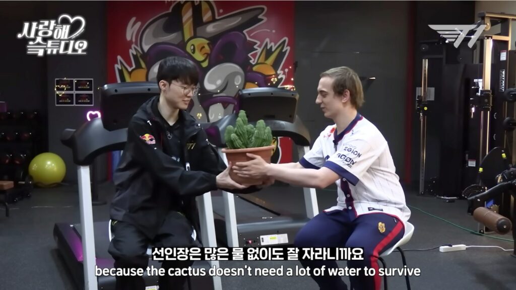 G2 Caps giving T1 Faker a cactus plant