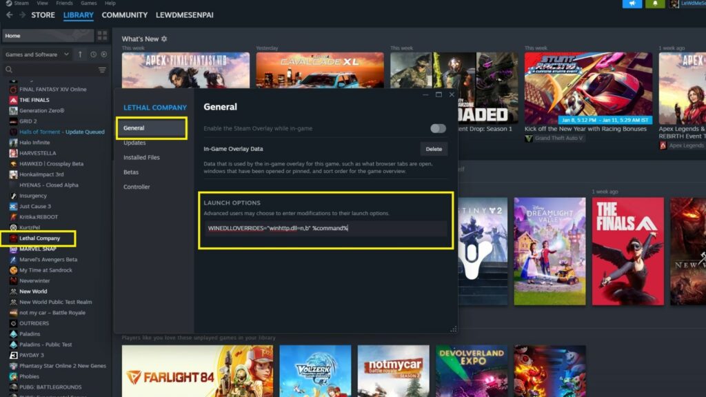 Lethal Company mods installation - launch options