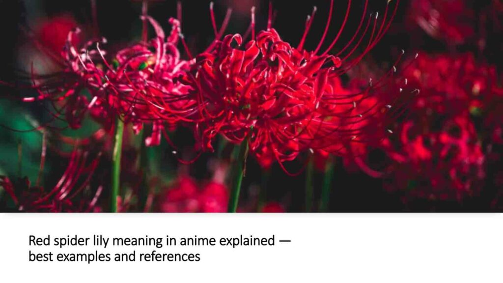 Photo of red spider lily in ONE Esports featured image for article "Red spider lily meaning in anime explained — best examples and references!"