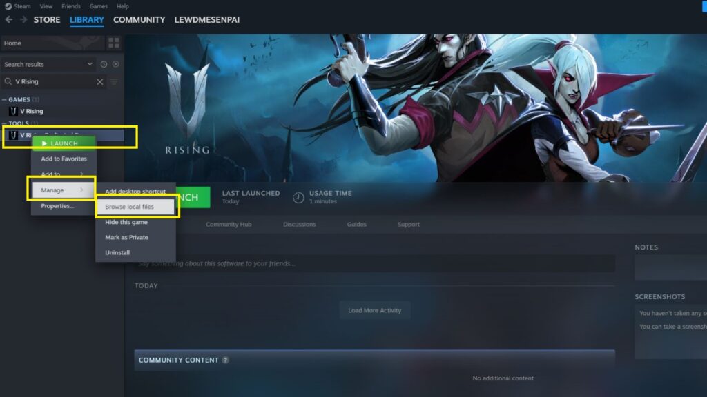 V Rising browse local files