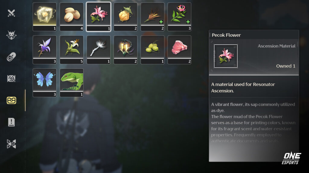 Pecok Flower in Rover's bag in Wuthering Waves
