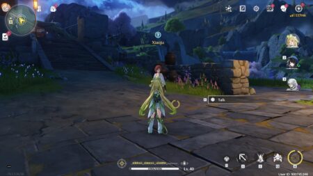 Speaking to Xiaoju for the Save The World Save The Cat quest in Wuthering Waves