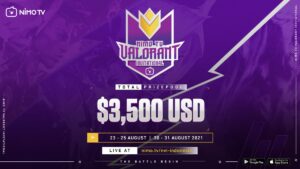 Valorant, Nimo TV Valorant Invitational, NVI, banner