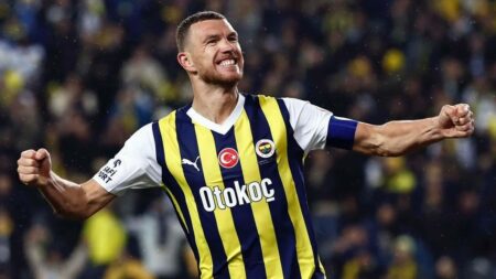 Edin Dzeko