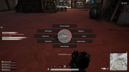 ping