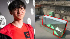 TenZ C Box Haven