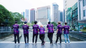 Purple mood ZELFUR