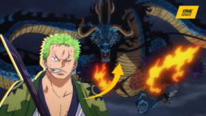 One Piece, trái ác quỷ, băng Mũ Rơm, anime